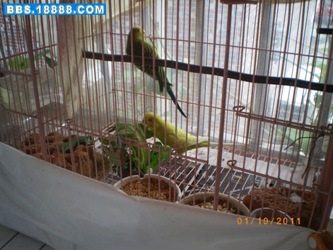 IMGP3462.JPG