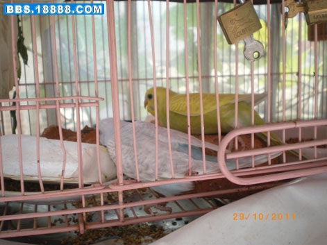 IMGP3727.JPG