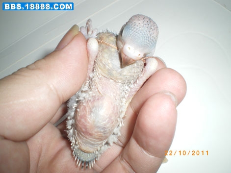 IMGP3700.JPG