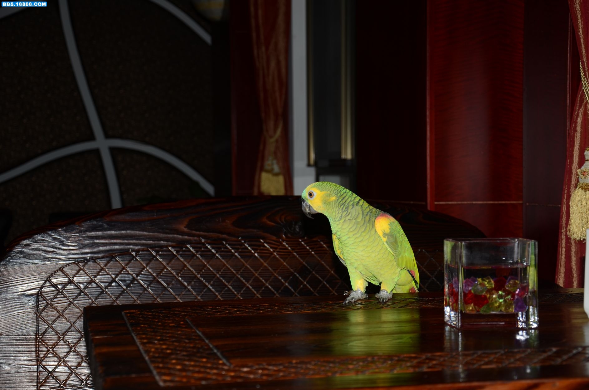 DSC_1498.JPG