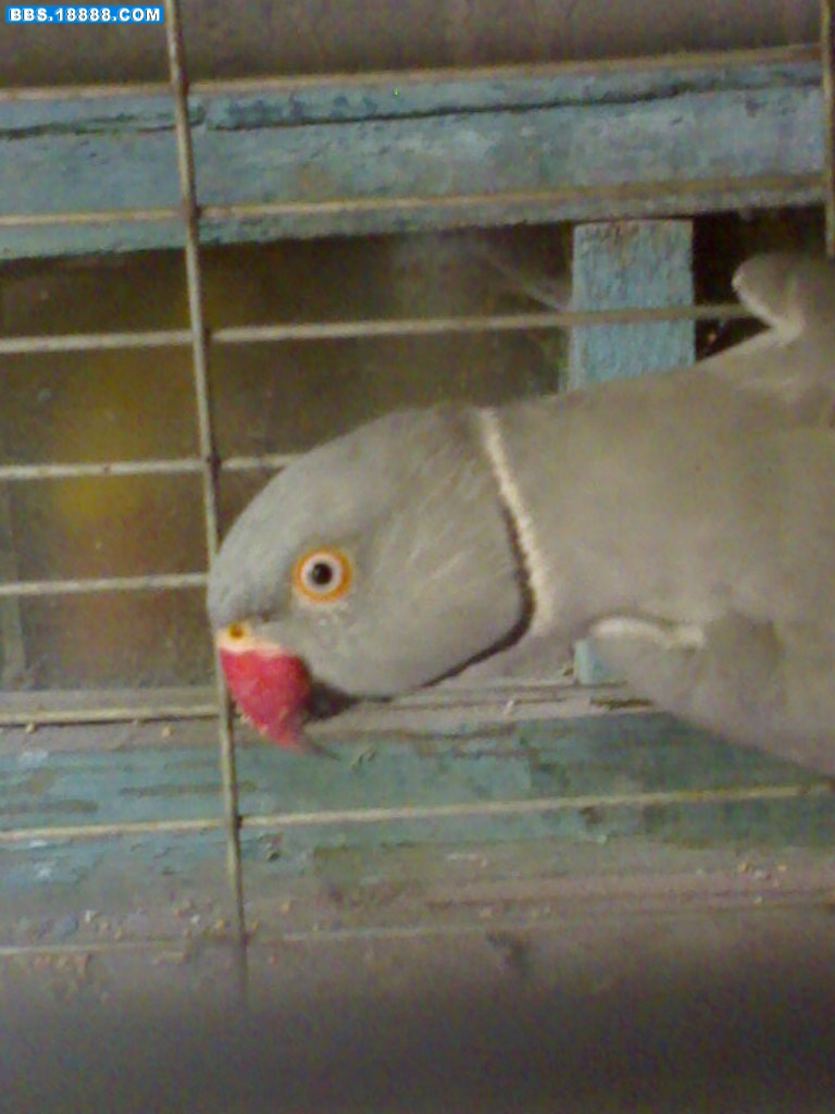 20100902152.jpg