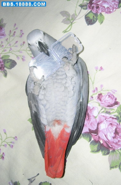 照片 162.jpg