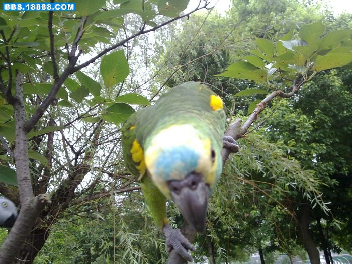 20110716443.jpg