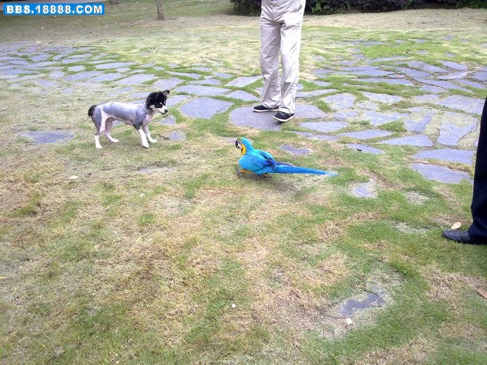 20110716432.jpg