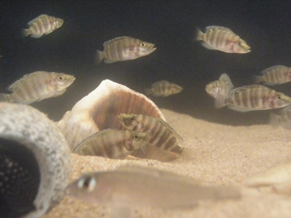 _IBK_P9270332.JPG