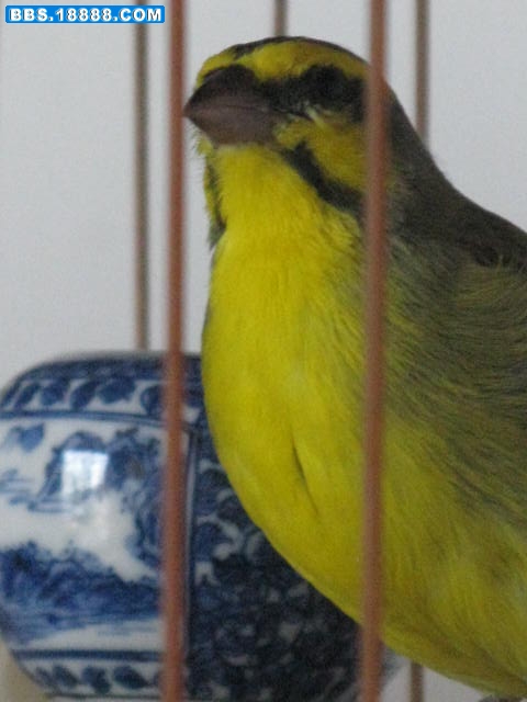 IMG_2855.JPG