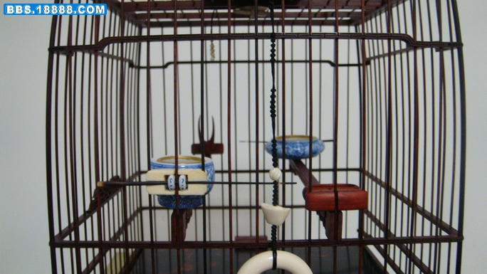 DSC04531_调整大小.JPG
