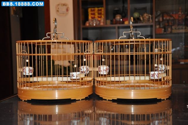 DSC_0669.JPG