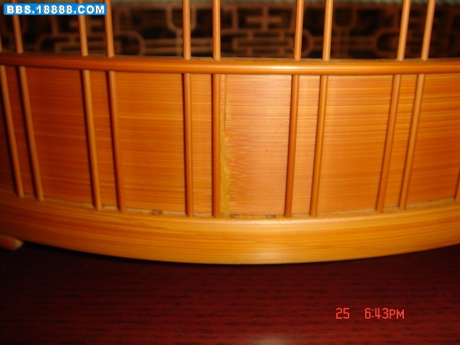 DSC02627.jpg