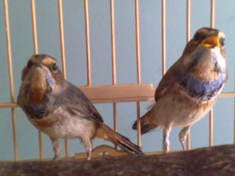 20111003417.jpg