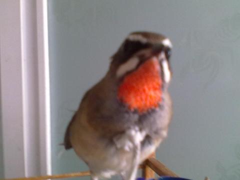 20111003423.jpg