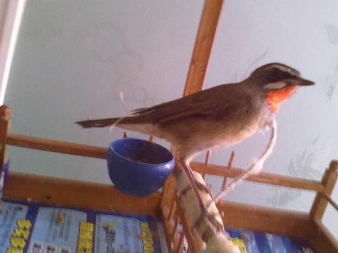 20111003426.jpg