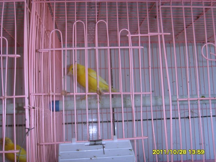 SSL27441.JPG