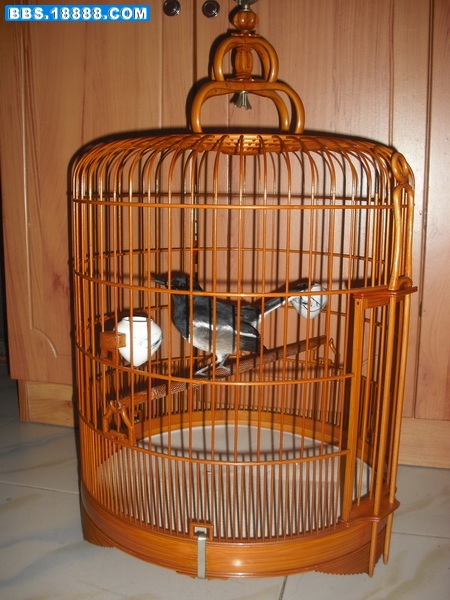 DSCF0013.JPG