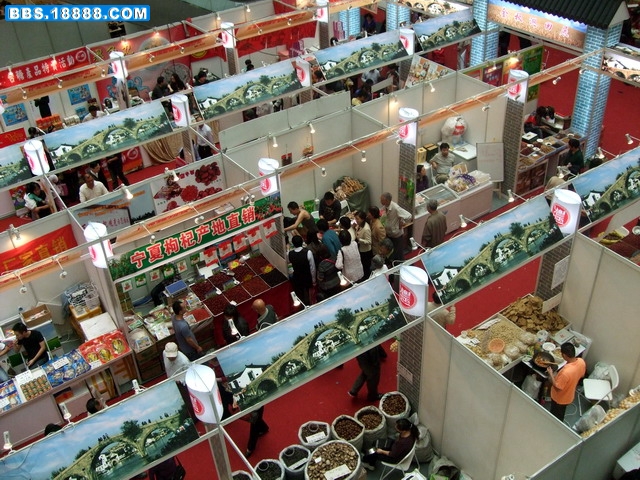 DSCF9237.jpg