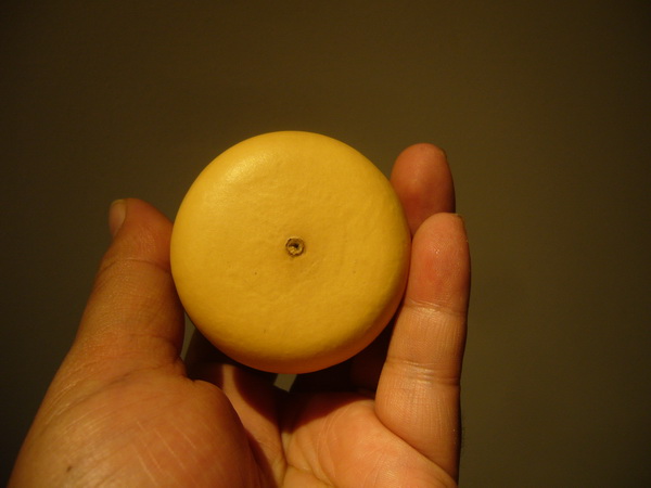 P1310064_调整大小.JPG