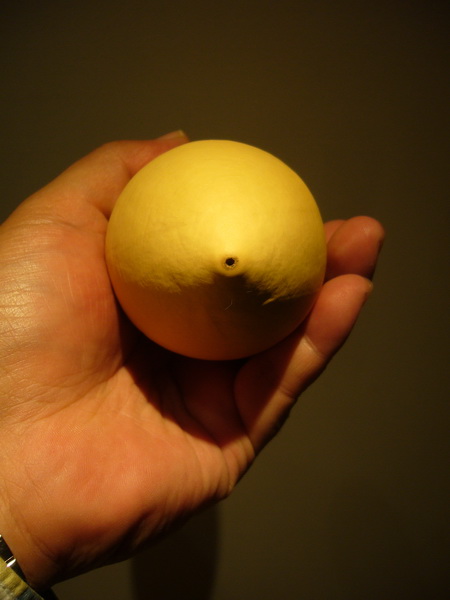 P1300925_调整大小.JPG