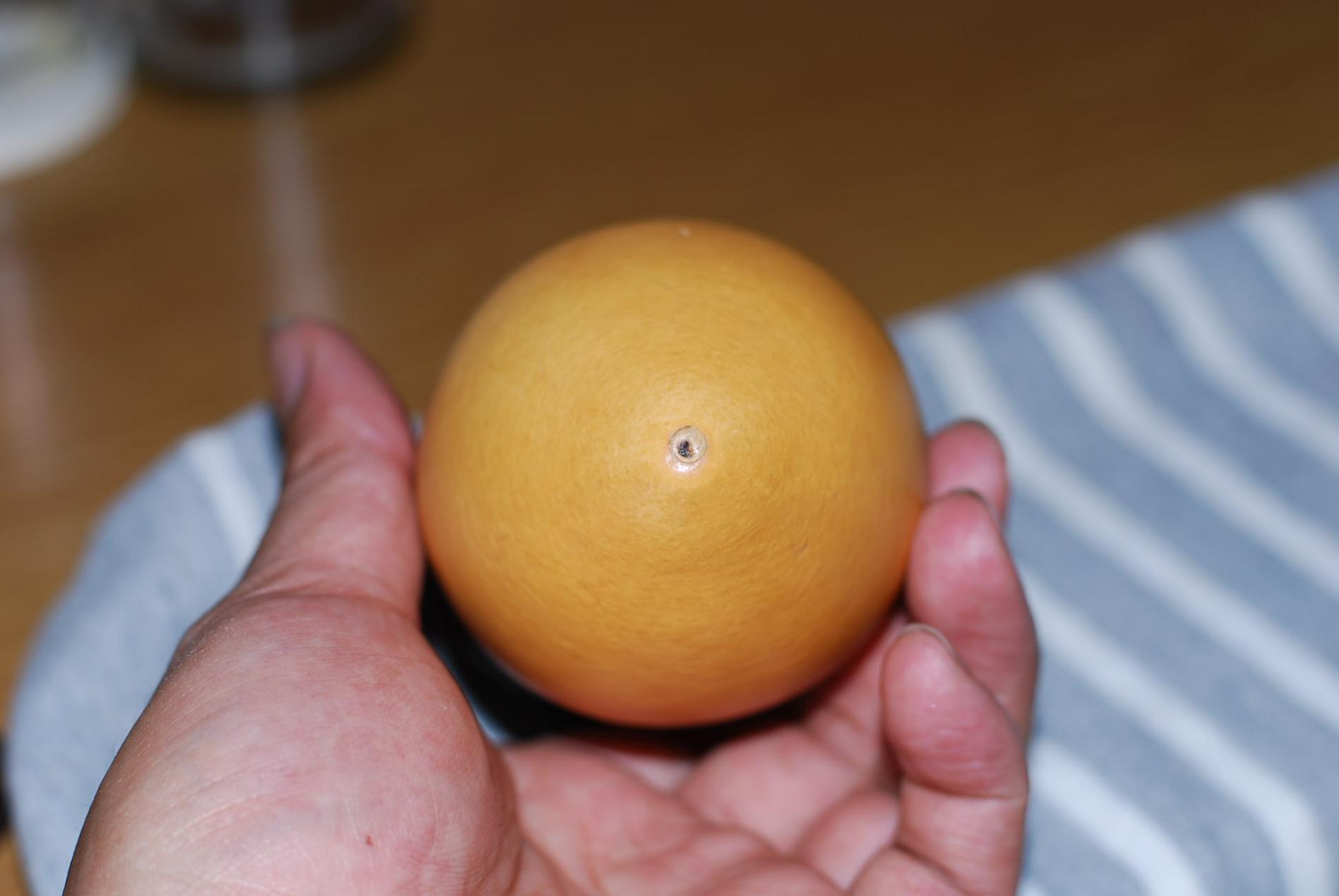 DSC_1266.JPG