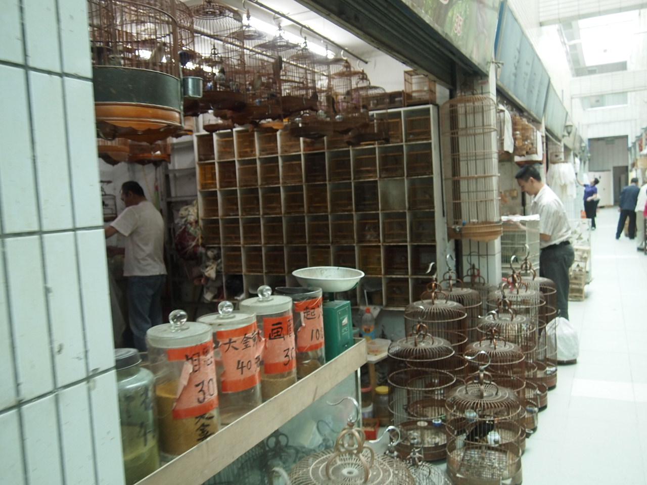 PA051133.JPG