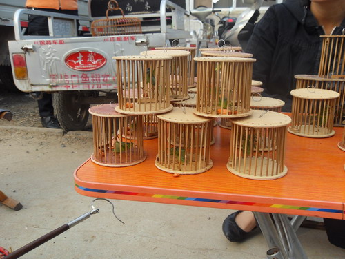 SDC13460.JPG