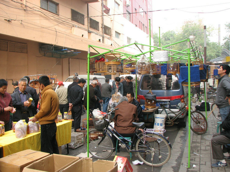 西安、太原 288.jpg