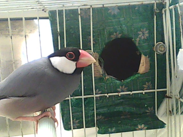 DSC_0000135.jpg