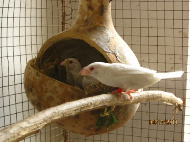 照片 014.jpg