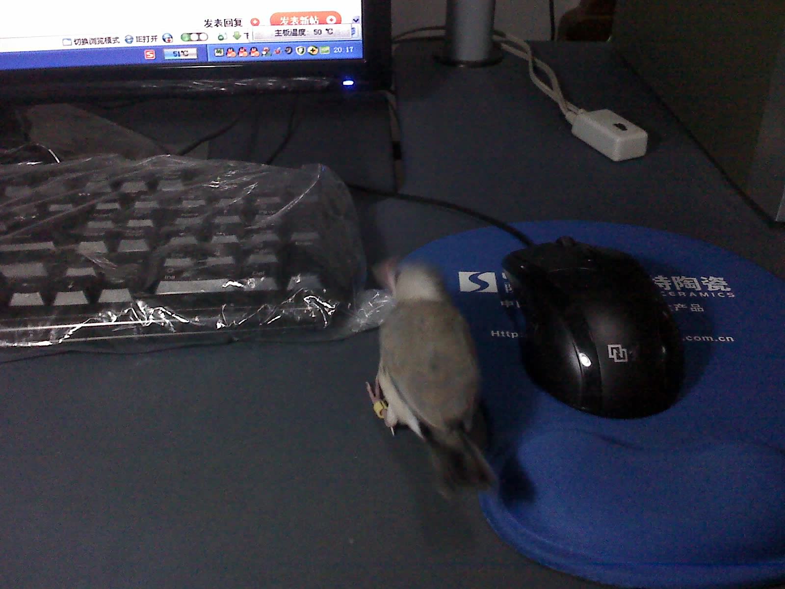 2011-10-17-00011.jpg