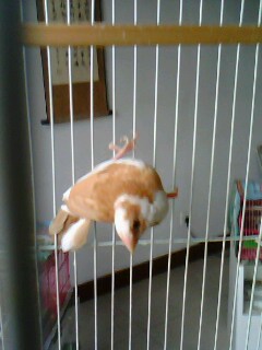 IMG0047A.jpg