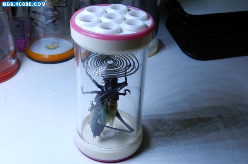 360安全浏览器截图3226241.jpg