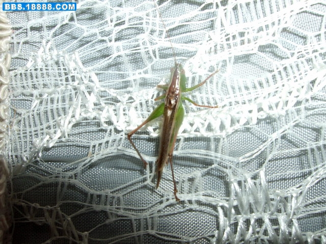 DSCF9079.jpg