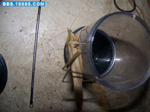 nEO_IMG_100_0568.jpg