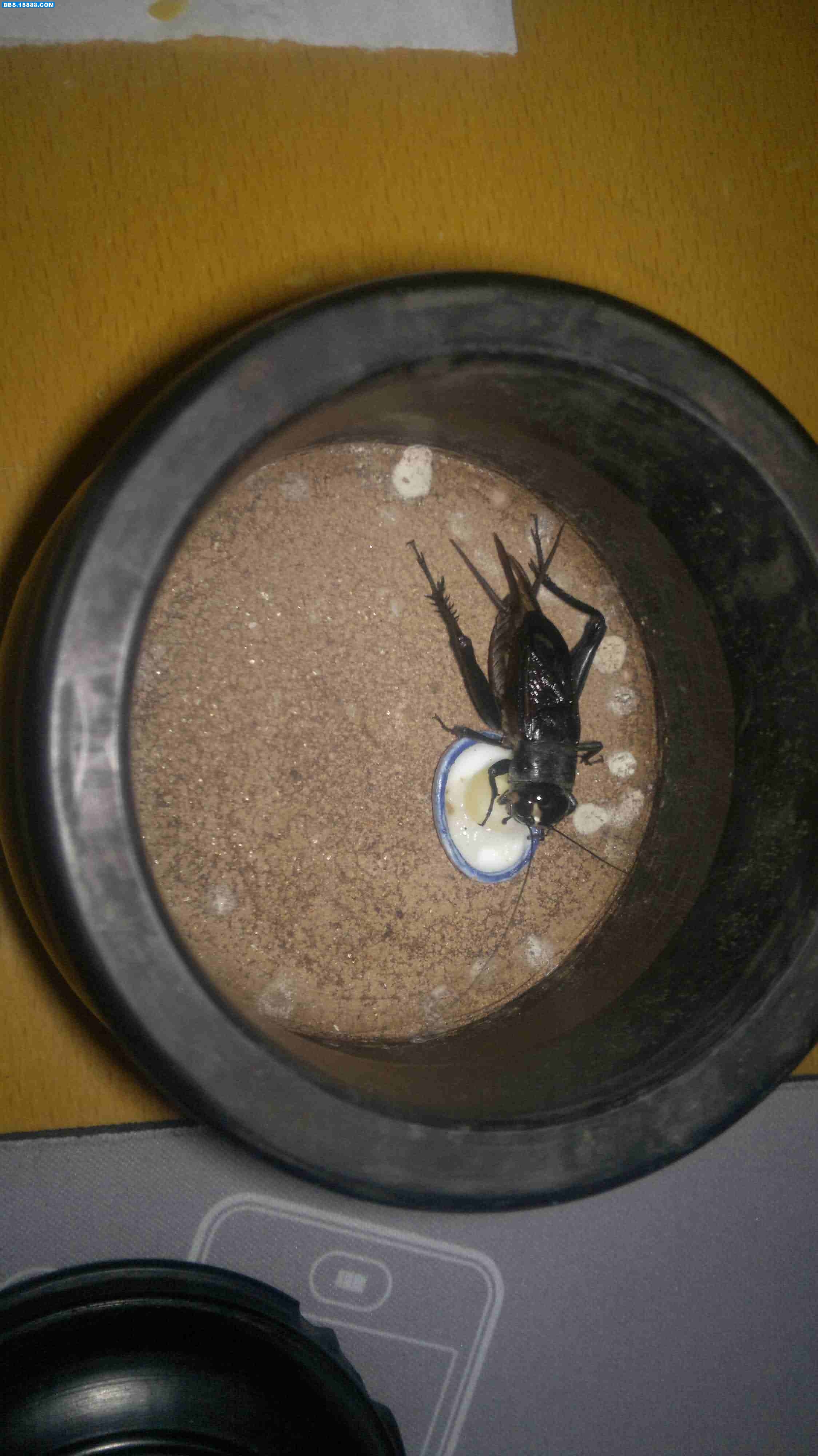 20111022614.jpg