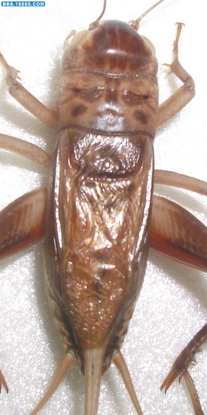 DSCF1929.jpg