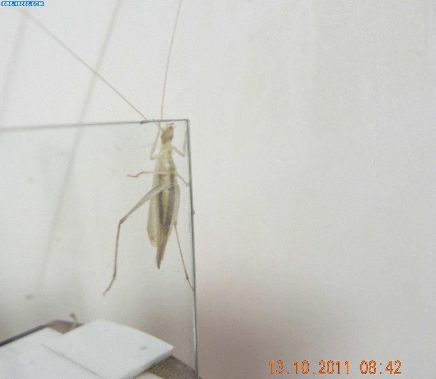 DSCN3790.jpg
