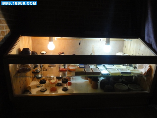 DSC02526.JPG