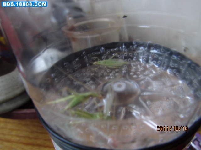 照片 008.jpg