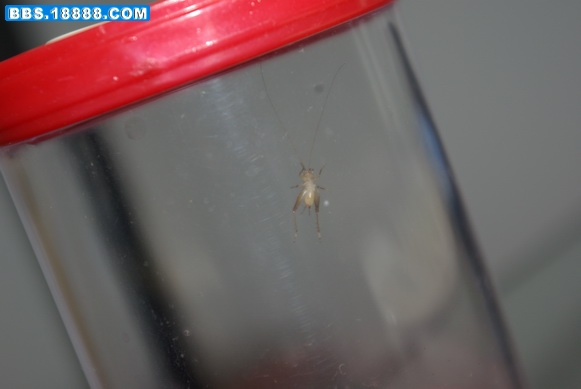IMGP0469_缩小大小.JPG