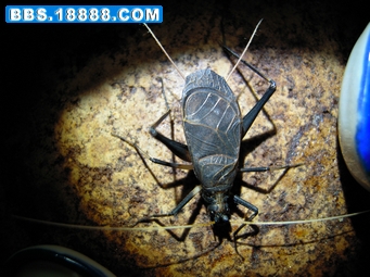 DSCN2638.JPG