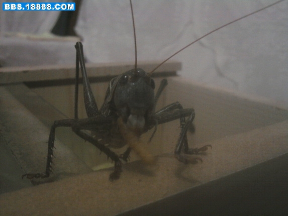 照片-0239_调整大小.jpg
