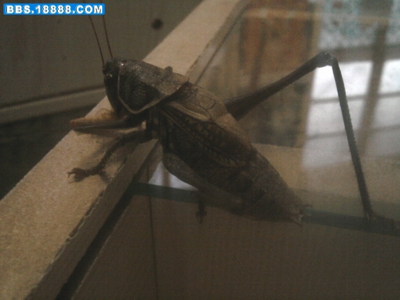 照片-0237_调整大小.jpg
