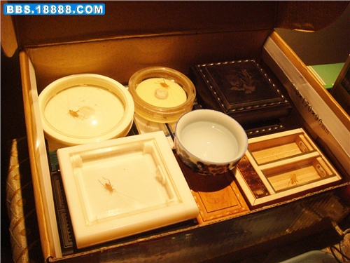 DSC05257_副本.jpg