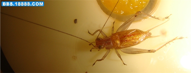 DSC05277_副本.jpg