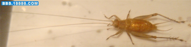 DSC05285_副本.jpg