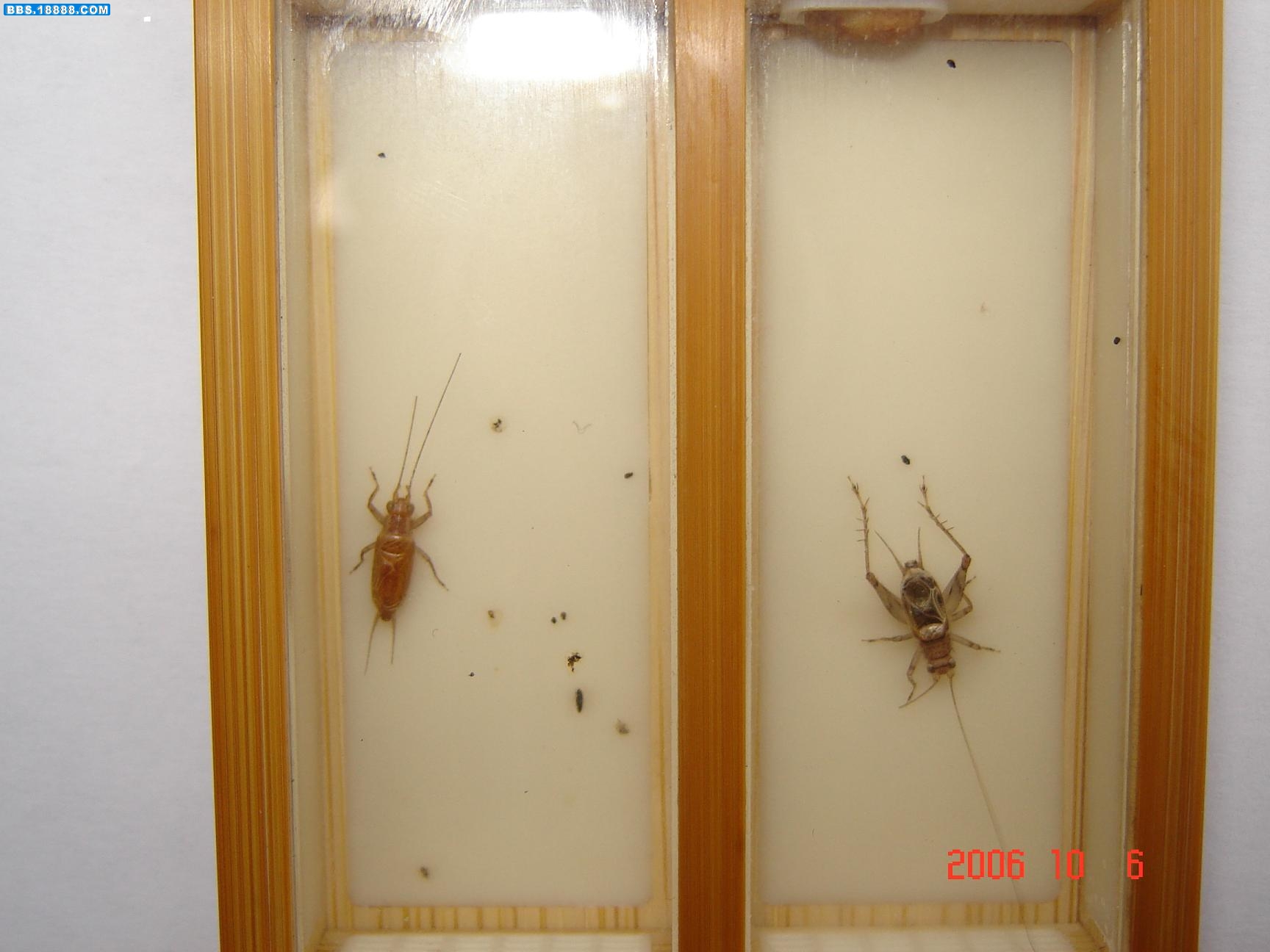 DSC00482.JPG