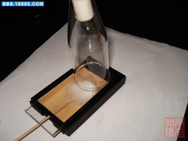 5虫爬进了过虫器.jpg