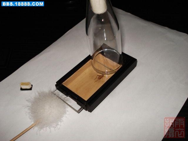 3把过虫器大端罩在口上(小端一定要堵上).jpg