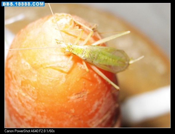 nEO_IMG_照片 017.jpg