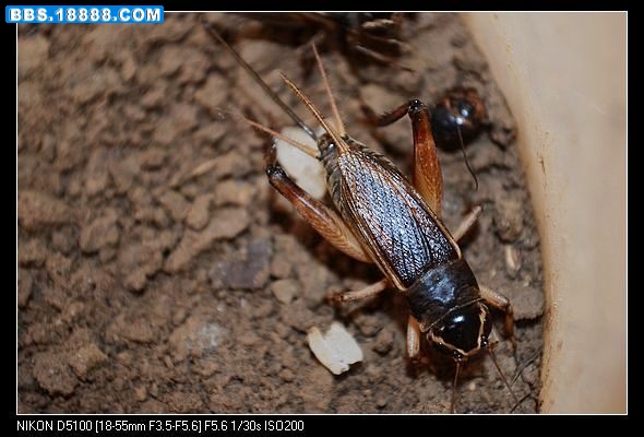 nEO_IMG_照片 034.jpg