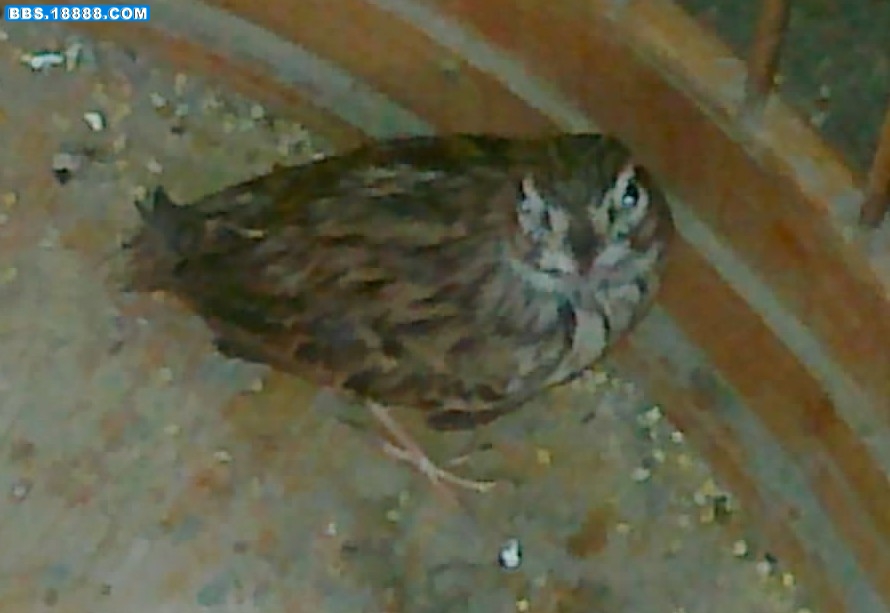 20111002120.jpg
